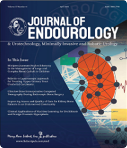 Impact of Vacuum-Assisted Mini-Endoscopic Combined Intrarenal Surgery for Staghorn Stones: Analysis of Perioperative Factors of Postoperative Fever and Stone-Free Status