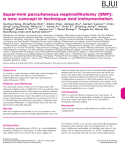 Super-Mini Percutaneous Nephrolithotomy (SMP): a New Concept in Technique and Instrumentation