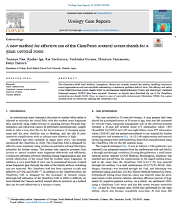A new method for effective use of the ClearPetra ureteral access sheath for a giant ureteral stone